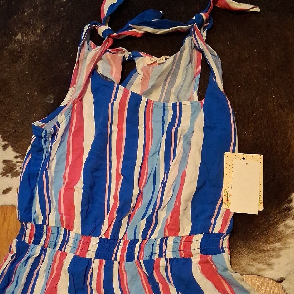 BeBop Blue and Pink Striped Maxi Dress